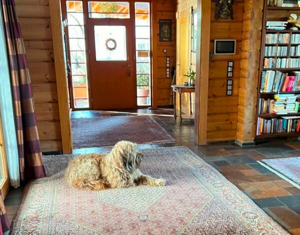 Gemütlicher Flur in einem FINNHOLZ Blockhaus mit einem Hund auf dem Teppich und einer sichtbaren Bücherwand.