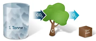 Klimaschutz im Blockhausbau - Finnholz setzt auf nachhaltige Bauweise und trägt aktiv zur Reduzierung von CO2-Emissionen bei.